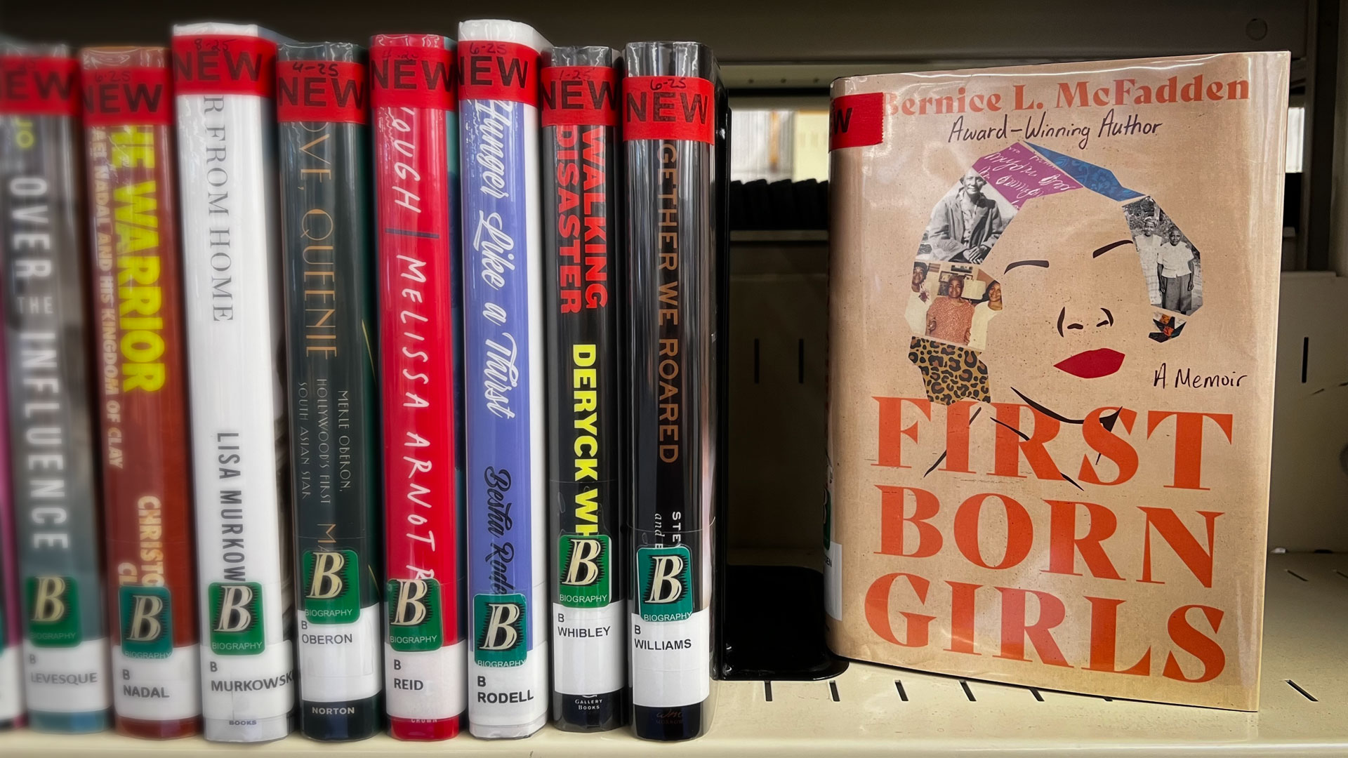 Adult Biography