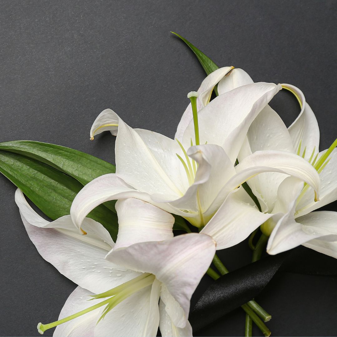 Bereavement Support Group