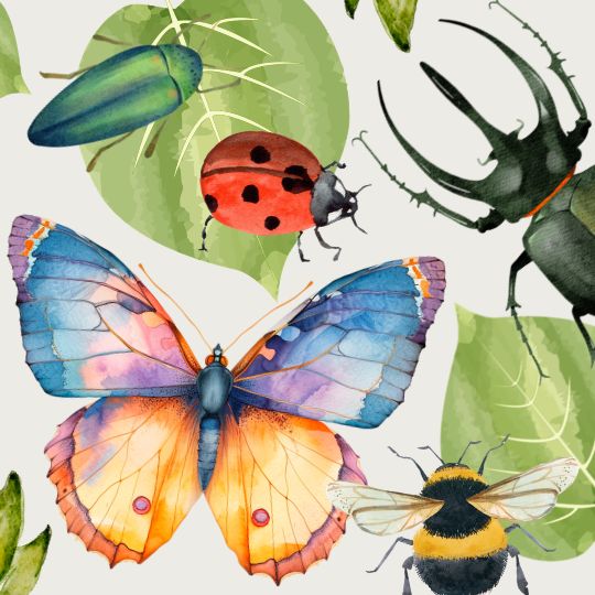 Bug Science for Teens!