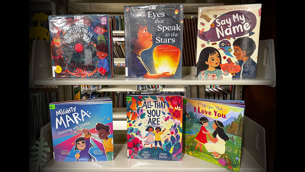 Picture Book Collection